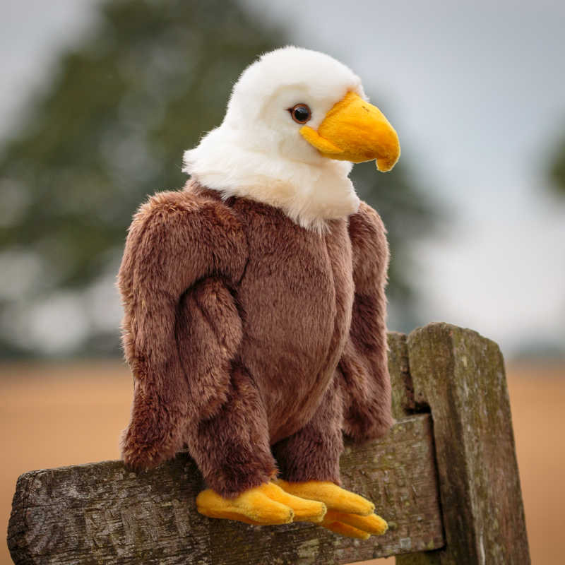 peluche aigle royal